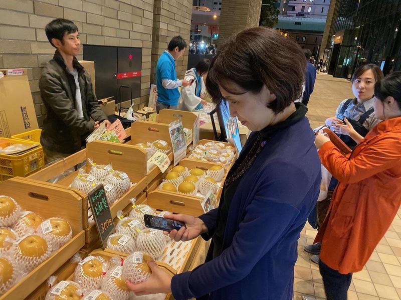 鳥取県鳥取市によるブランド梨の販売実験